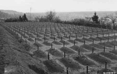 Cemetery at Hadamar where victims of “euthanasia” at the Hadamar “euthanasia” killing center were buried. This photograph was taken toward the end of the war. Hadamar, April 1945. 